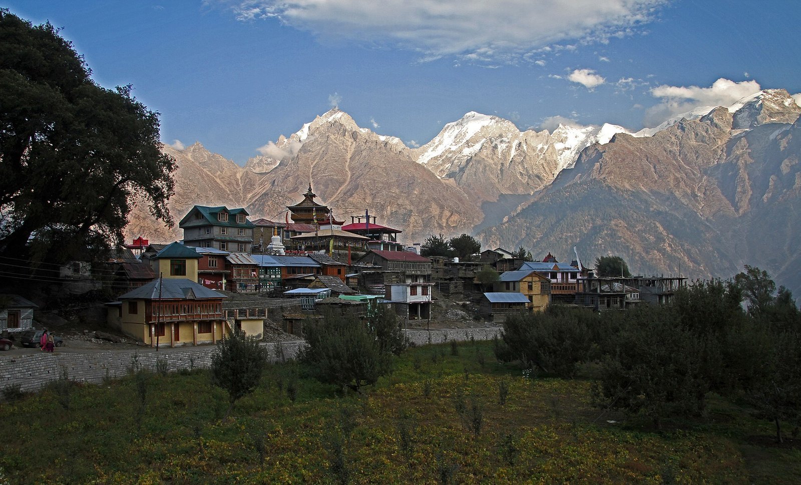 Kalpa village in Kinnaur with the Kinner Kailash mountain range of snow-capped peaks behind it, traditional wooden-roofed houses among orchards at 2,960 metres