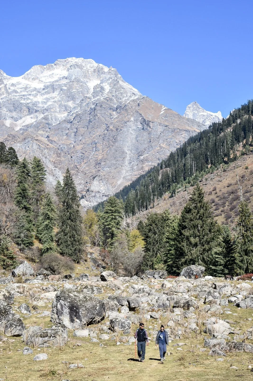 Two hikers crossing a high boulder-strewn pasture toward a snow peak above Kalpa, Kinnaur