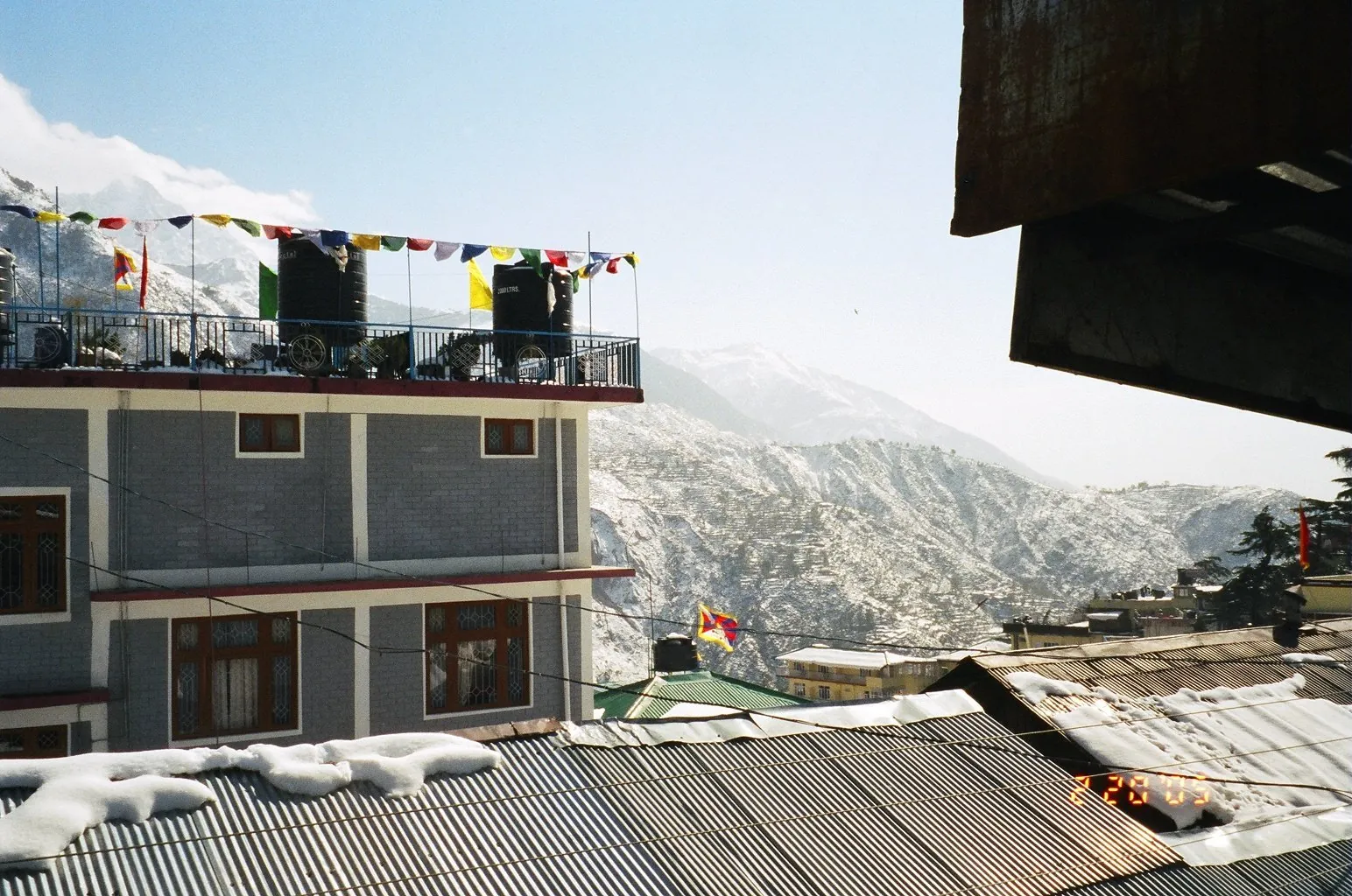McLeod Ganj in winter from a rooftop terrace with Tibetan prayer flags strung across a hotel balcony, snow on the tin roofs and the Dhauladhar range behind — the upper town of Dharamshala on a cold clear morning